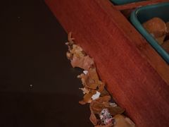 -悦界酒吧(后海店)