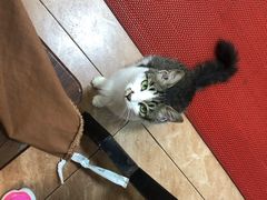 -聪辉同安老美食饭店(大元路店)