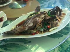 清蒸龙胆石斑鱼-四姑娘川味海鲜(八爪鱼店)