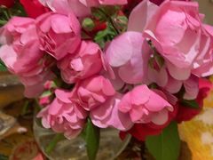 -洛阳宴·洛阳菜(南昌路店)