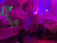 -水晶之星洗浴温泉汗蒸