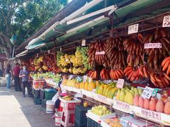 -南沙十九涌渔人码头-南门