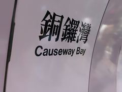 -文辉墨鱼丸大王(铜锣湾渣甸街总店)