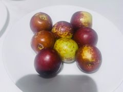 -四季民福烤鸭店(故宫店)