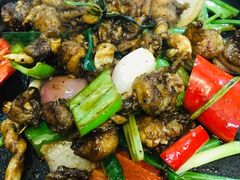 铁板鱼泡-张家卫·阳江菜·小海鲜(肥婆湾桥店)