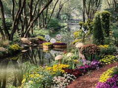 -上海共青森林公园