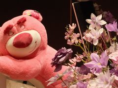 -松临·铁板烧&Omakase(神农店)