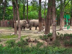 -北京野生动物园