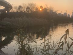 -洋湖国家湿地公园