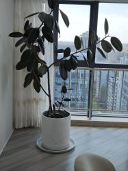 点击看大图 -HEYAN荷妍专业脱毛连锁机构