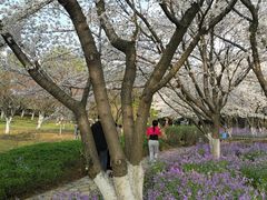 -白塘生态植物园