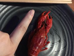 -红盔甲·小龙虾(天钥桥店)