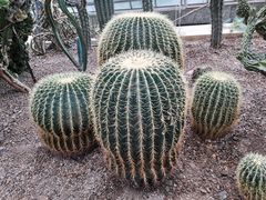 -南山植物园