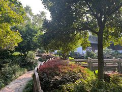 -东山雕花楼