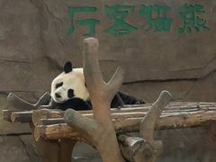 -宁波野生动物园
