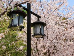 -苏州上方山国家森林公园