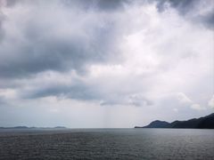 -杨梅坑