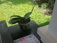 -清迈菩提塞雷纳