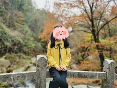 -三块石国家森林公园