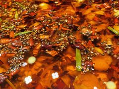 -碧中海汤泉汗蒸酒店