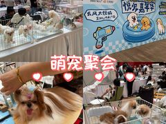 -上海长风大悦城