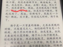 -流浪者复古西餐鸡尾酒吧(沈阳店)