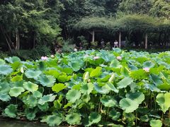 -成都杜甫草堂博物馆
