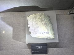 -安徽省地质博物馆