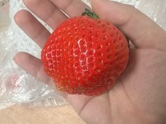 -牛New寿喜烧(金茂览秀城店)