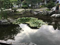 -日出青木·杭帮菜名店