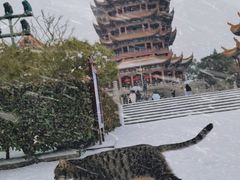 -黄鹤楼
