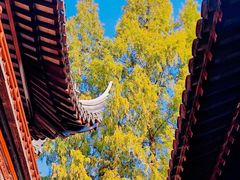 -豫园