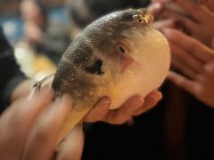 -永安鱼庄·镇江菜(丁卯店)