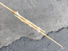 -玛马艾脆皮水磨年糕(湖北路87-89小区店)