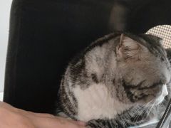 -萌兽医馆·绝育·24小时内科·宠物医院(德胜店)
