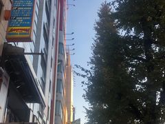 -秋叶原电器街