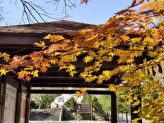 -丹东天桥沟景区