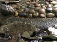 -成都市活水公园