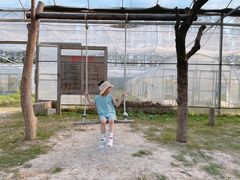 -前小桔亲子创意农场·草莓采摘·露营烧烤