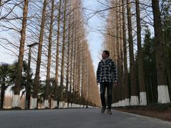 -黄海国家森林公园