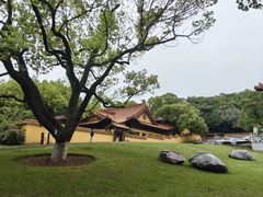 -太子山公园(园东路)