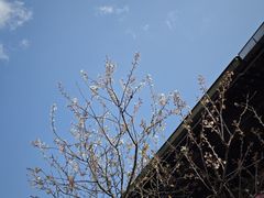-古堰画乡景区