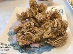 -宾朋海鲜特色美食餐厅·纯手工鲅鱼水饺(兴海路店)