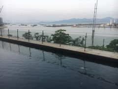 拿铁-希尔顿南海酒店·观廊大堂吧·海景下午茶
