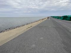 -碧海金沙