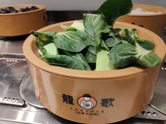 -龍歌自助小火锅(市北CBD万达店)