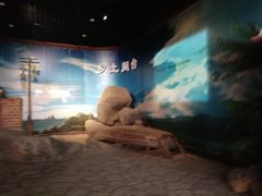 -中国闽台缘博物馆