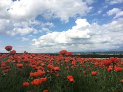 -富田农场