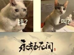 -老佛爷正宗铜炉蛙锅(五道口店)
