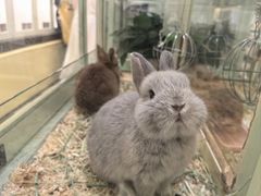 -龙猫仔乐园(惠福东路店)